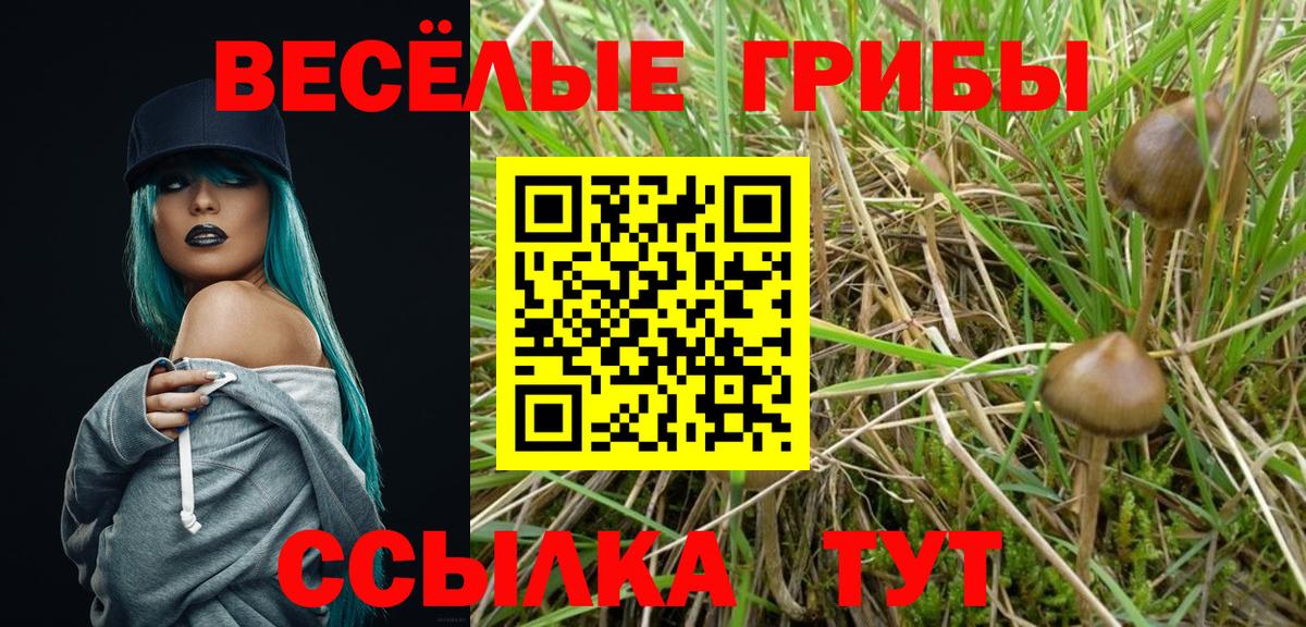 Галлюциногенные грибы мицелий Гусь-Хрустальный