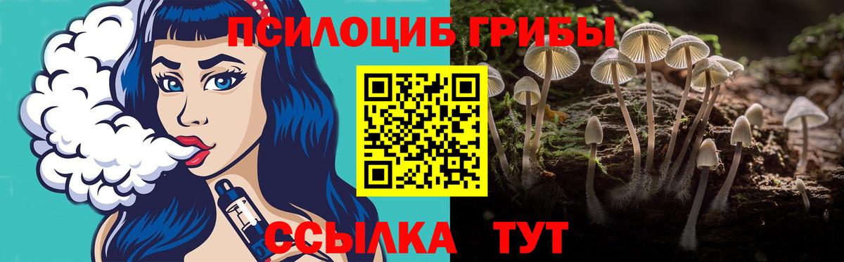 Псилоцибиновые грибы мухоморы  Вход с VPN  купить закладку  Гусь-Хрустальный 